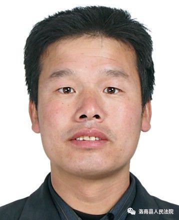 洛南最新老赖,洛南最新老赖，深度解析与应对之策