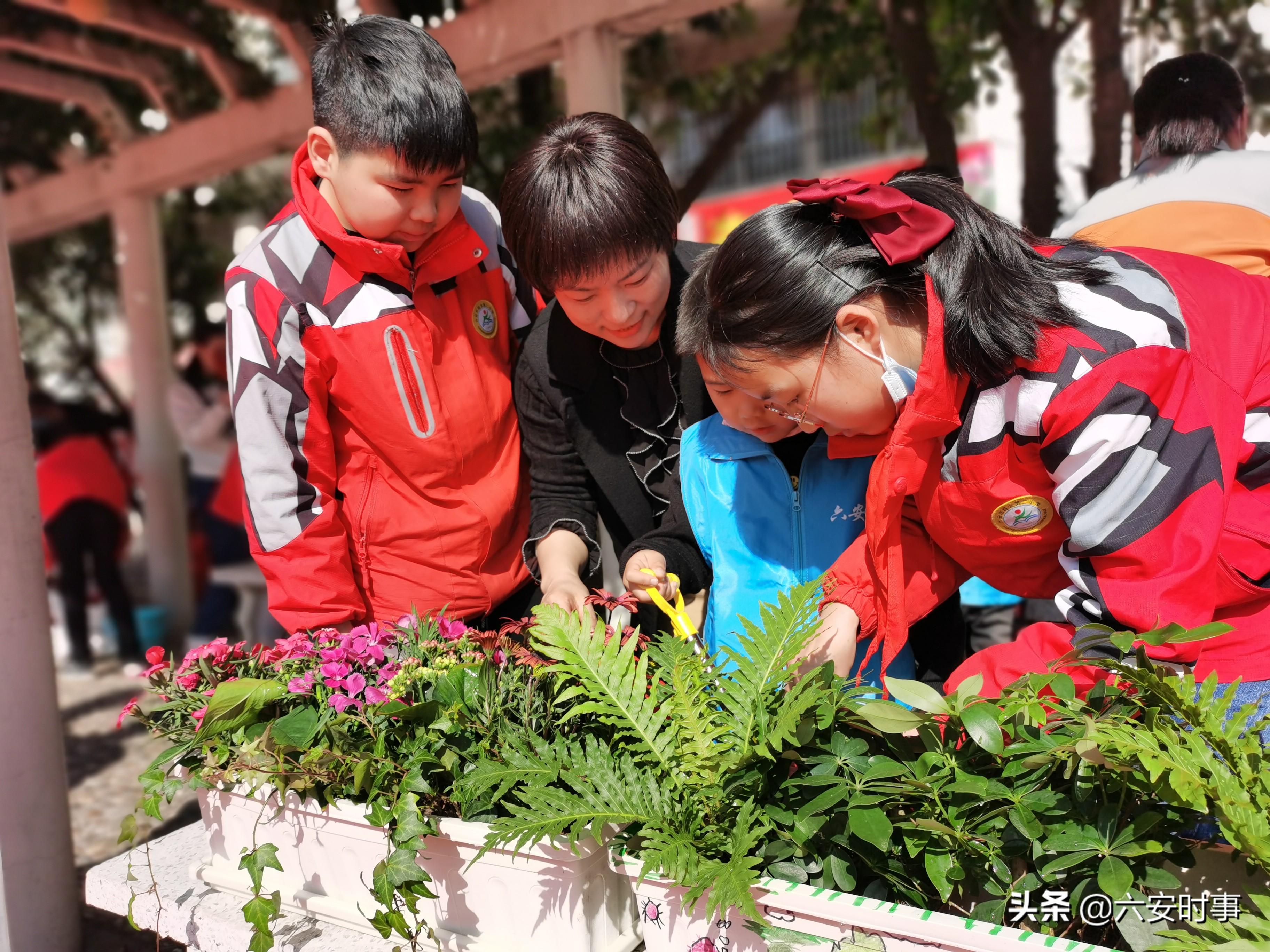 六安公园华府最新动态揭秘，科技前沿居住新体验