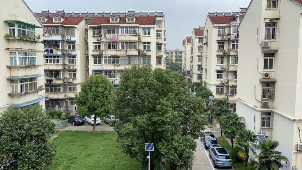 蔓草社区最新地址揭秘，活力社区新坐标