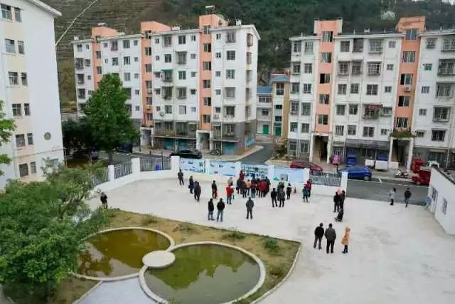 蔓草社区最新地址揭秘，活力社区新坐标