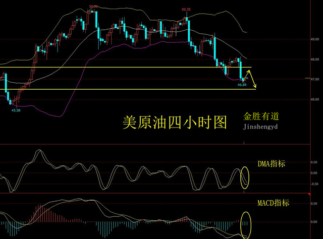 美原油最新动态解析及小巷深处的石油秘密与特色小店探索