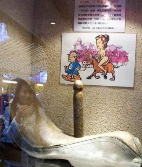 骑木驴电影，历史、文化与艺术的交融之旅