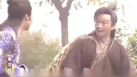 乘龙快婿新篇，时代背景下的璀璨传奇故事