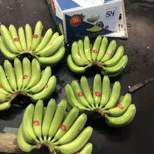 邯郸香蕉批发价格行情解析，价格变化背后的自信展望