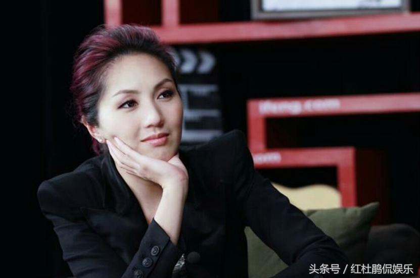 我是歌手最新一季参赛名单揭秘，探寻音乐魔法小店的神秘之旅