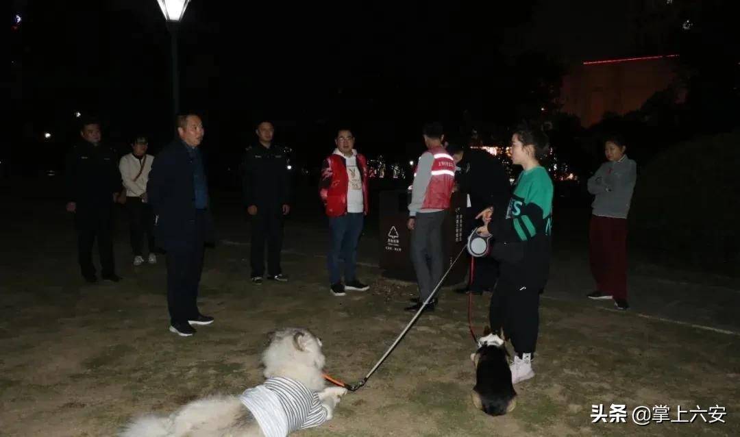 六安公园华府房价揭秘，友情与家的温馨故事