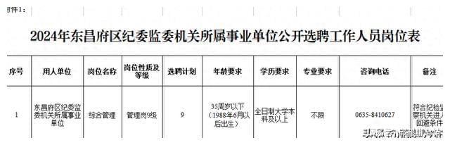 聊城最新职位招聘揭秘，小巷深处的职场宝藏