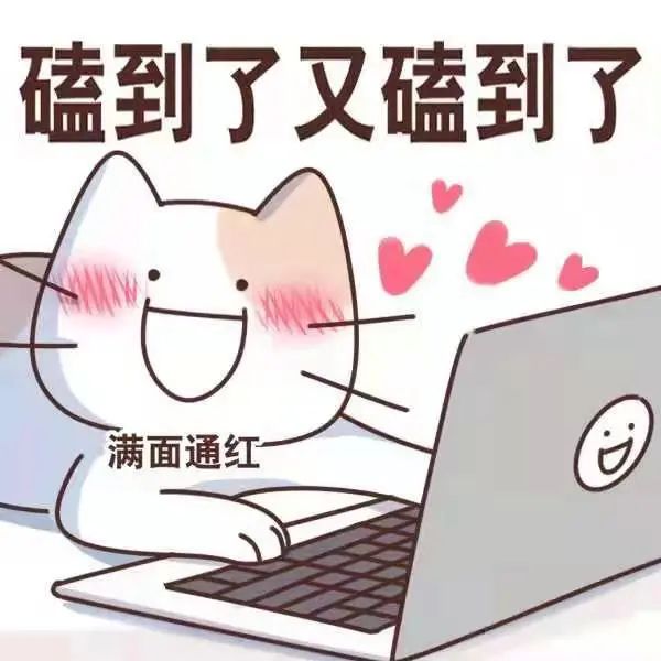 最新社会磕，友情小磕的日常趣事一览