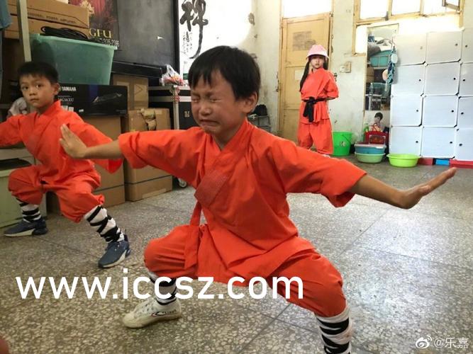 里美尤利娅最新作品,里美尤利娅最新作品学习指南