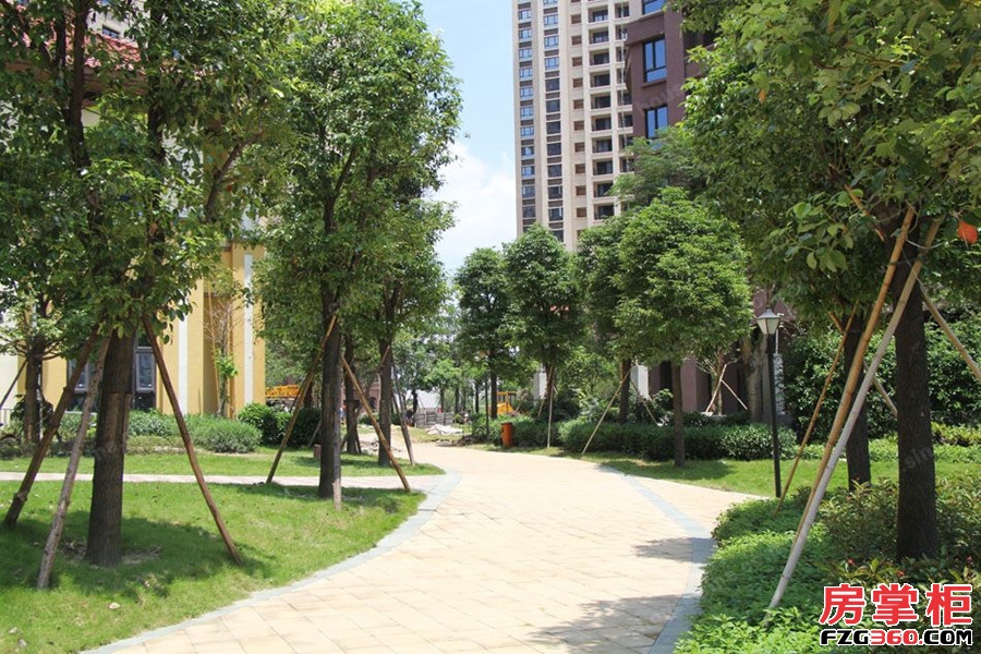北滘深业城最新房价，探索自然美景，寻找内心平和与宁静的居所