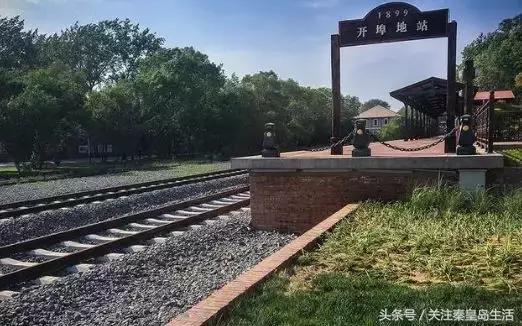 大连太平湾港最新消息,大连太平湾港最新消息揭秘，巷弄深处的独特小店探秘