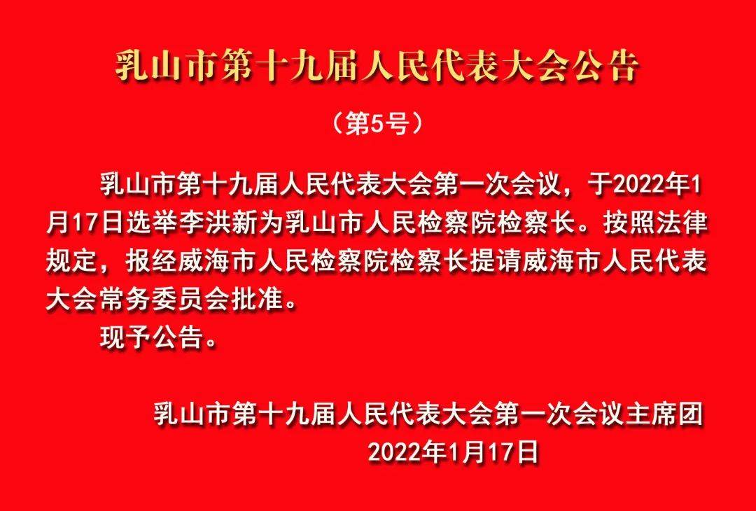 威海市政府最新任免详解，步骤指南适用于初学者与进阶用户