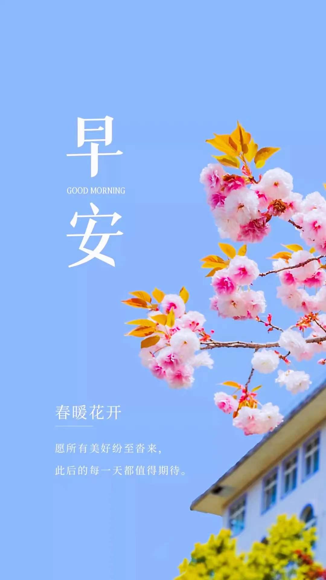 时代变迁中的选择与适应，盲从最新的潮流与挑战