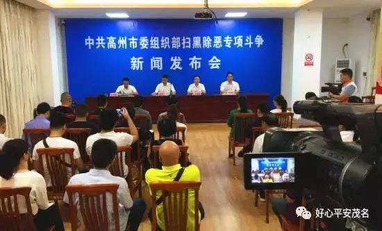高州最新新闻，时代脉搏与地方变迁同步更新