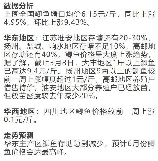 鲫鱼最新价格指南，如何获取并实时了解鲫鱼价格信息