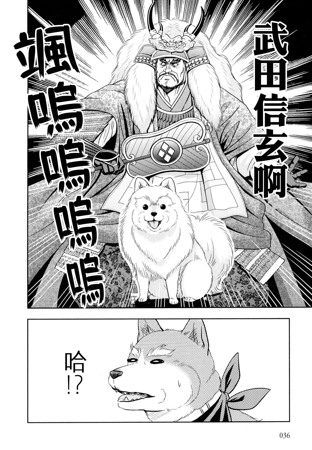 最新织田漫画，科技产品体验之旅，领略科技魅力与生活变革的力量