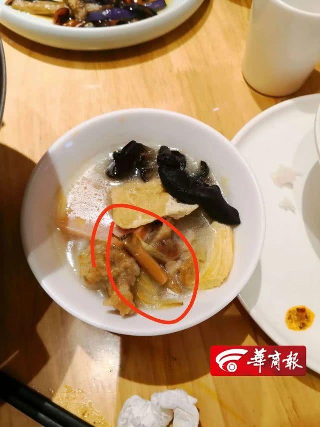西安厨师招聘，烹饪艺术的传承与繁荣之旅