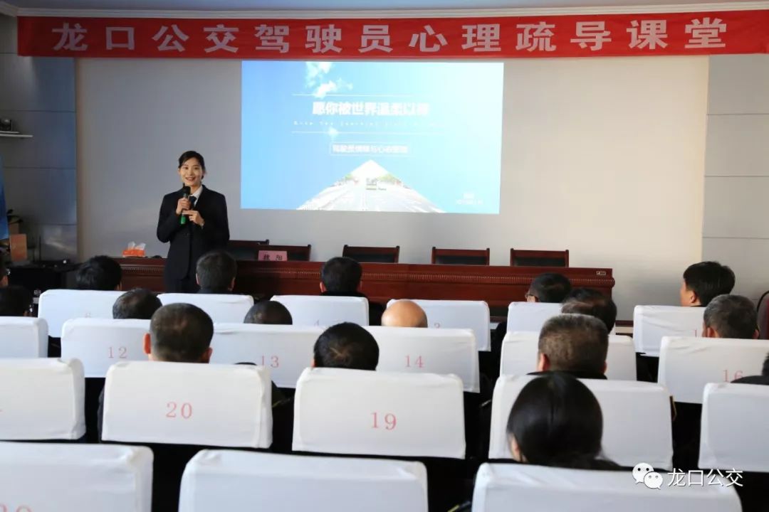 龙口最新司机招聘，探寻自然美景，寻觅内心宁静之旅