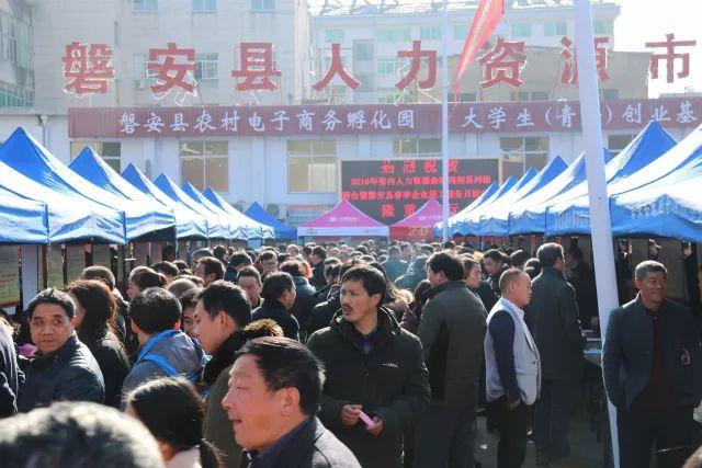 磐安最新招聘信息大全，求职全步骤指南