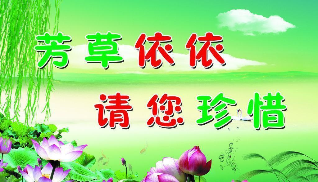 厂区环保标语最新，引领绿色制造潮流，打造环保制造标杆