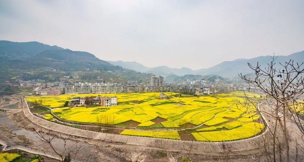 奉节最新人事动态，变化中的机遇与学习力量