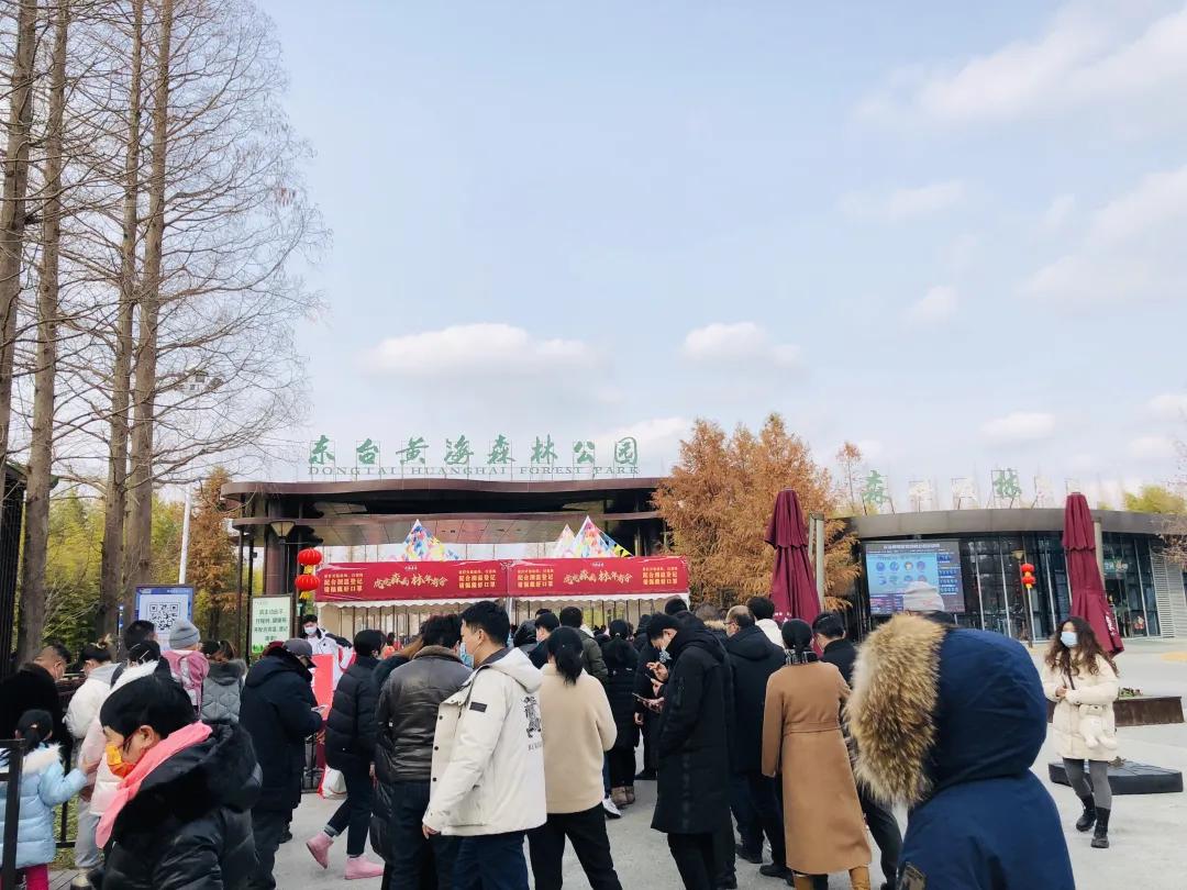 江苏东台最新新闻报道
