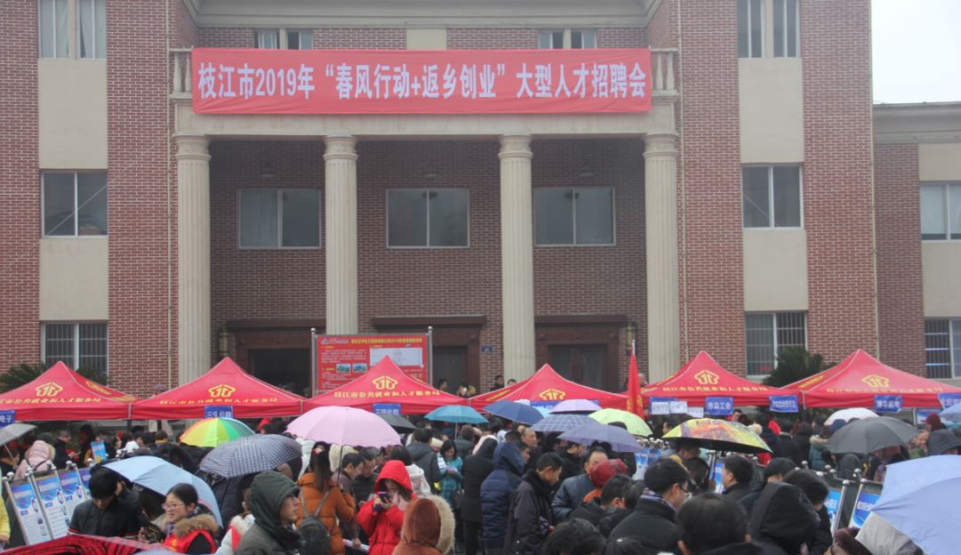 枝江最新招聘动态，探讨其影响与意义