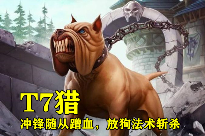 T7猎人最新指南，装备、技能与战术进化