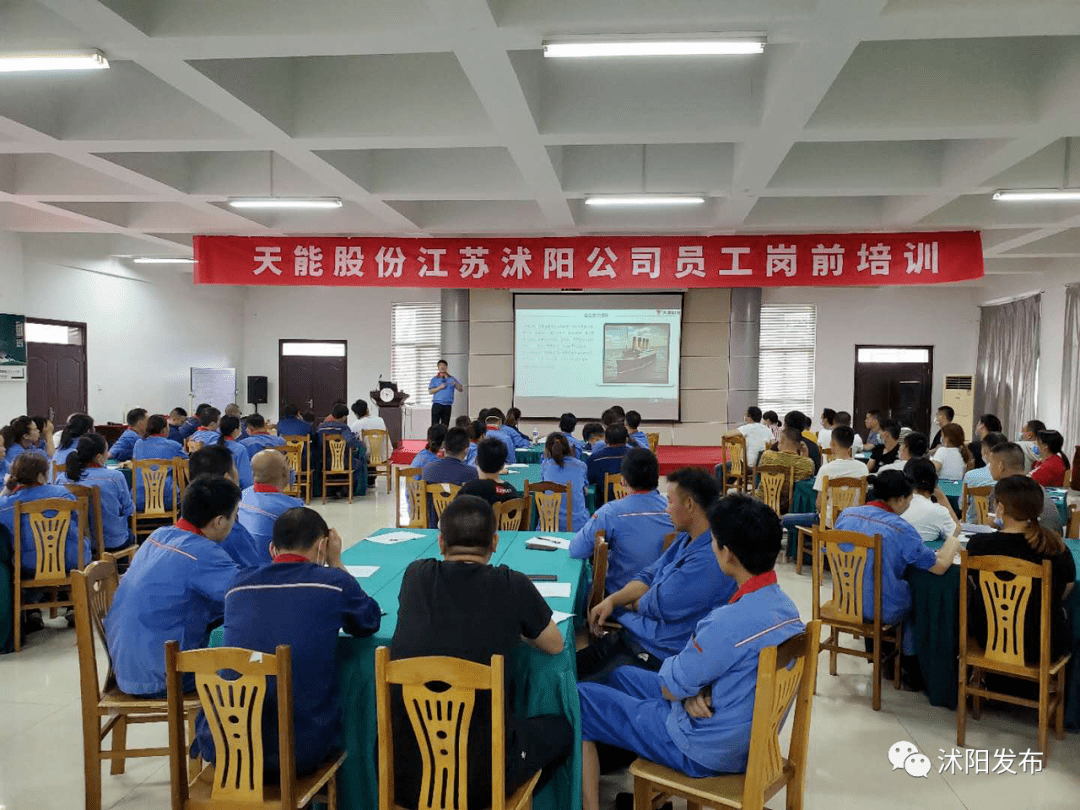 沭阳护士最新招聘，全面解析与观点论述