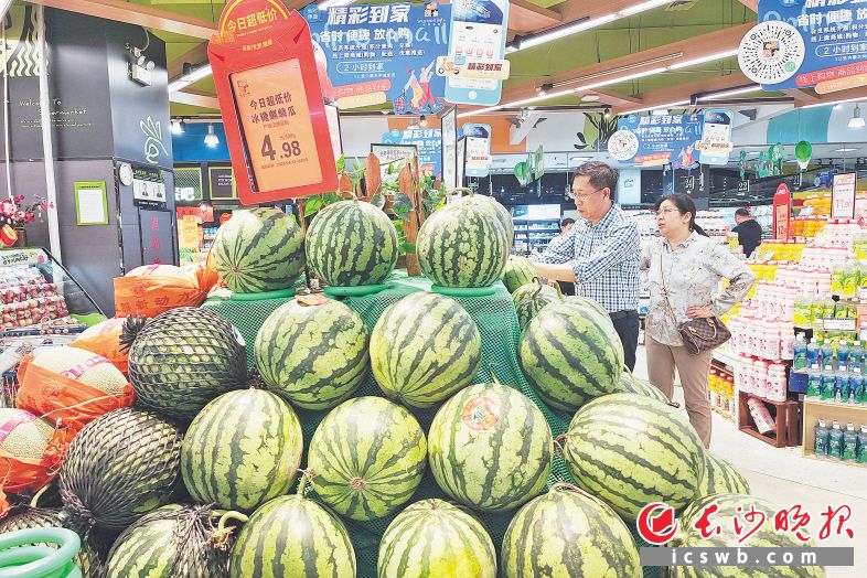 湖南西瓜价格最新行情,湖南西瓜价格最新行情概览