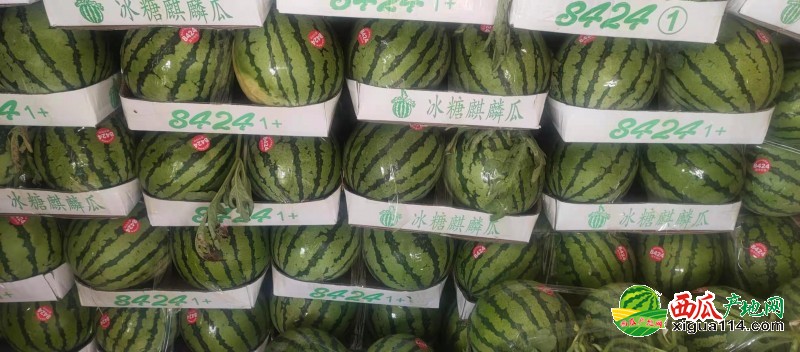 湖南西瓜价格最新行情,湖南西瓜价格最新行情概览