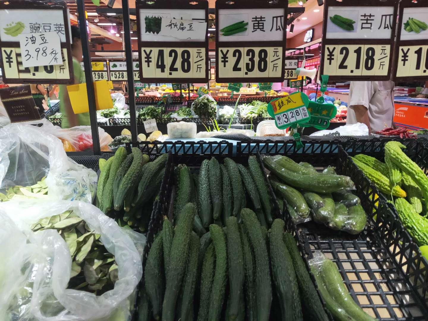 山东芹菜价格最新行情分析与趋势预测