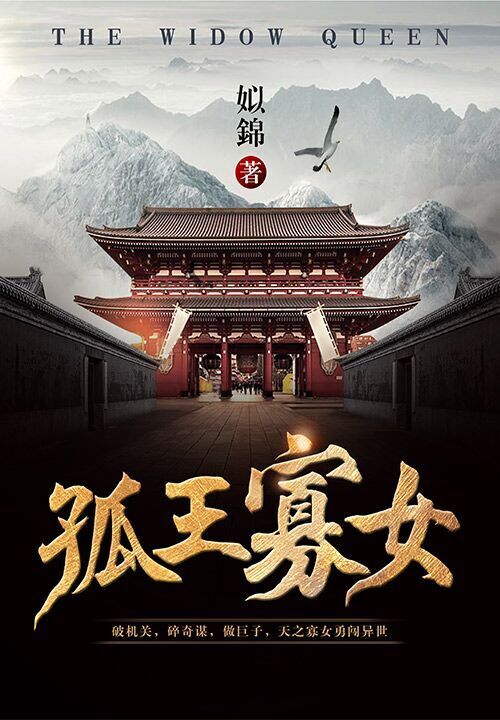 孤王寡女，爱情与权力的独特交织最新章节更新速递