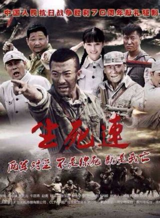 心灵与自然的抗战之旅，最新抗战电视剧揭秘