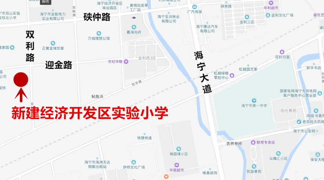 金鹿最新动态，学习之光引领未来奇妙旅程，自信与成就感的汇聚