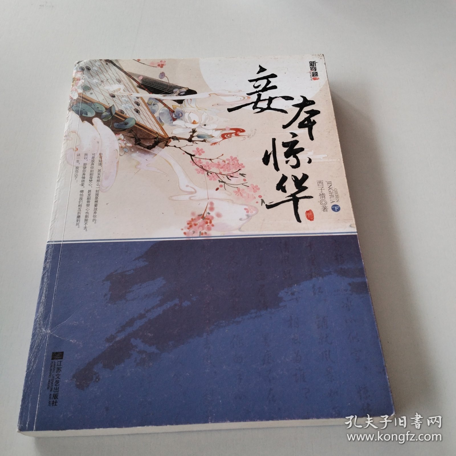 妾本惊华最新章节，引领科技重塑未来，全新高科技产品震撼登场！