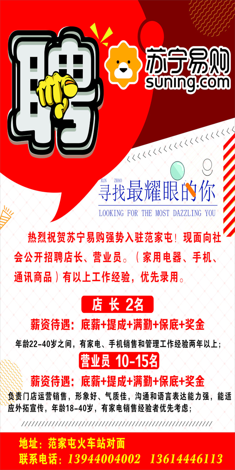 苏宁电器最新招聘启事，小巷中的宝藏职位等你来探索！