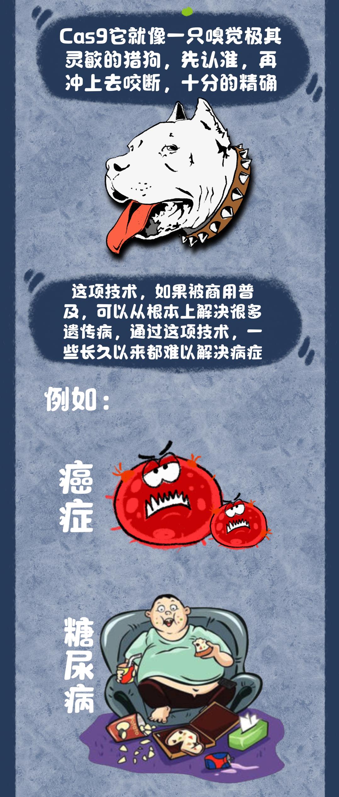 基因编辑技术最新动态，一种观点下的影响及分析