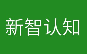 新智认知家庭小聚，智慧与欢笑的交融时刻