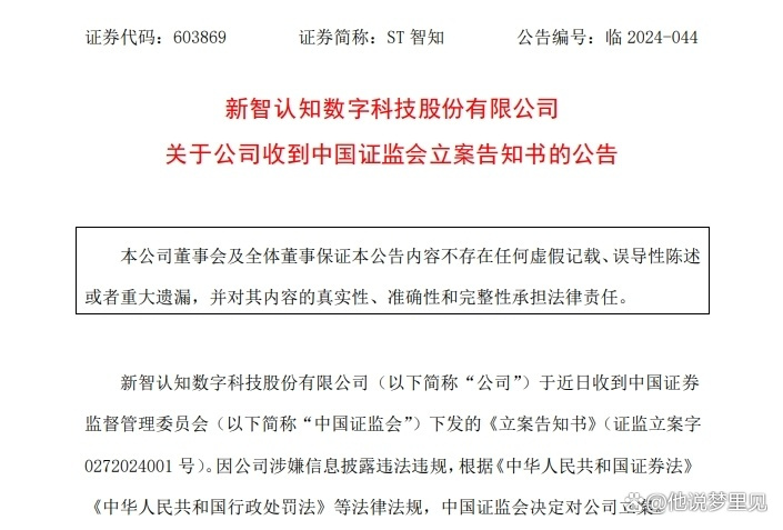 新智认知家庭小聚，智慧与欢笑的交融时刻
