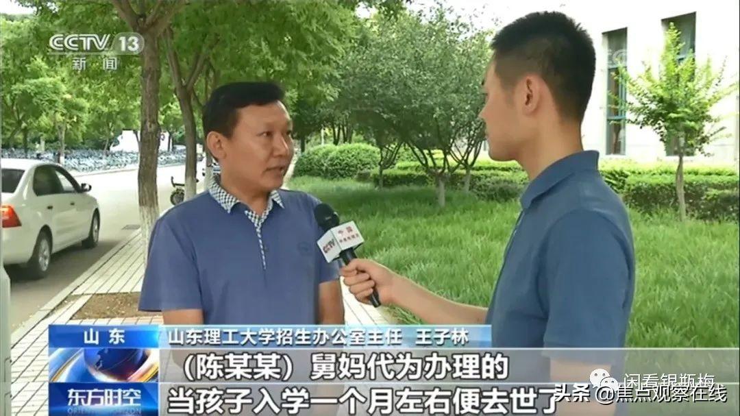 陈姓女孩诗意温馨名字大全，日常故事中的美好名字精选