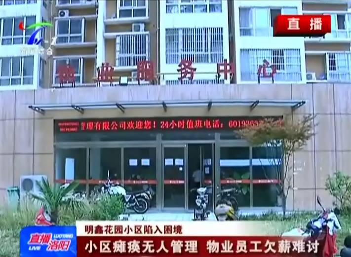 洛阳明鑫花园最新动态，家园变迁与学习带来的自信与成就感