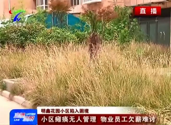 洛阳明鑫花园最新动态，家园变迁与学习带来的自信与成就感