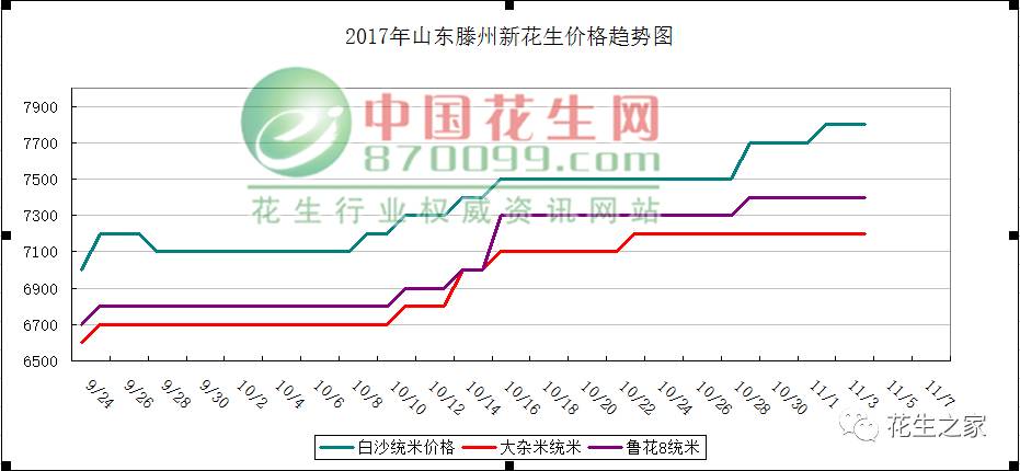 生花生米价格最新动态，变化中的学习，自信与成就感的源泉