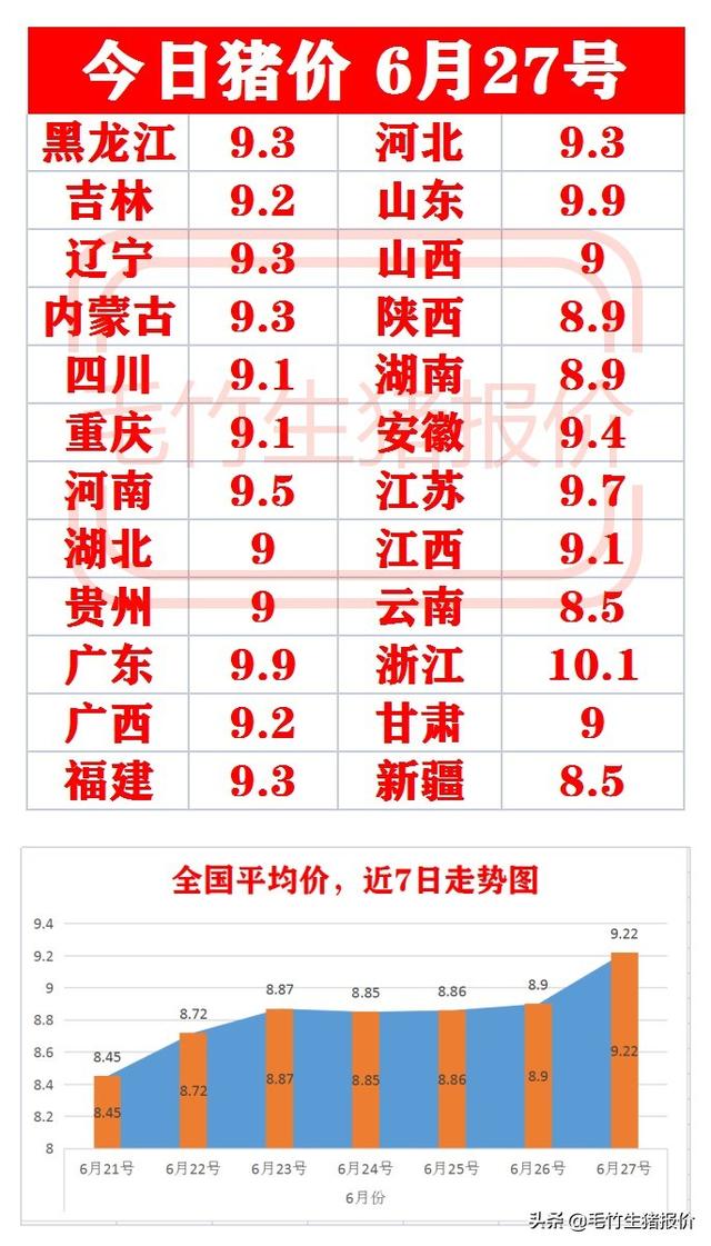 河南周口生猪价格今日猪价最新,河南周口生猪价格今日揭秘，小巷深处的特色小店探秘记