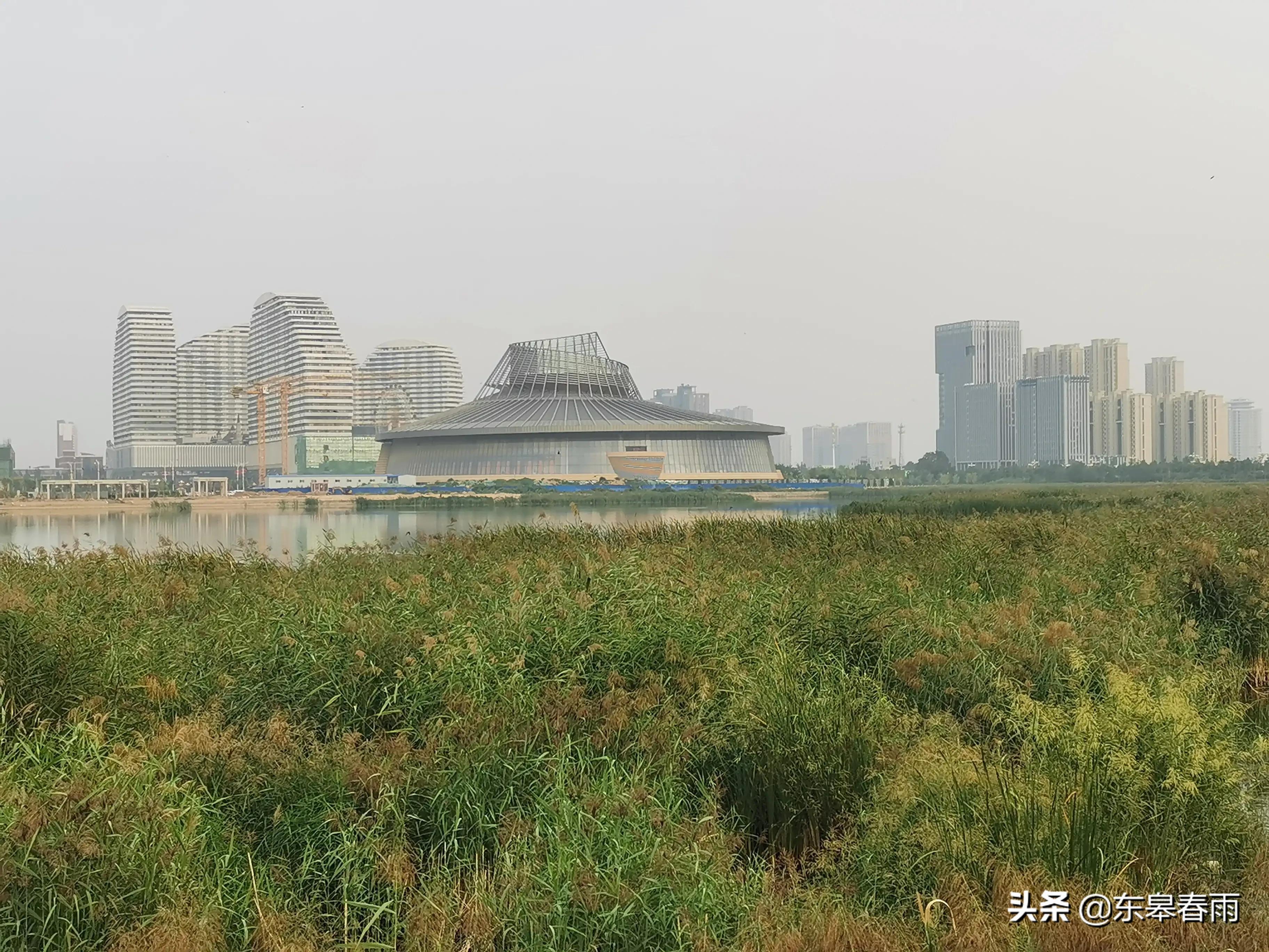 保定市东湖探索自然美景之旅，最新动态与内心宁静的追寻