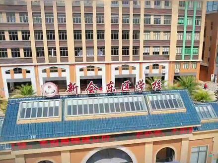 新会东区学校，小巷深处的教育瑰宝与隐藏的美食秘境揭秘
