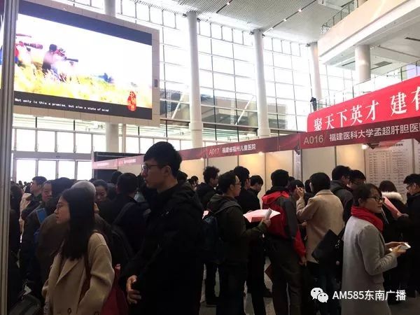 福州人才市场最新招聘及动态分析概览