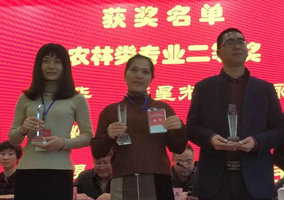 伊春王雪梅的最新动态，力量与学习的蜕变之路
