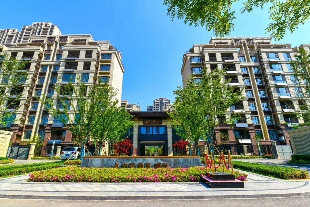 鲁商国际社区最新动态，变化中的学习力量，自信与成就感的培育地